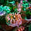 Thumbnail: "Savory" Set of 4 Place Mats by Amanda Rowan